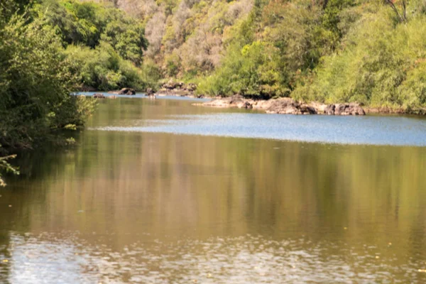 Güney Brezilya 'da kırsal pampa biyolojisi. Çevresel koruma alanı. Rio Grande do Sul RS Brezilya. Kırsal turizm. Tahıl üretim alanları.