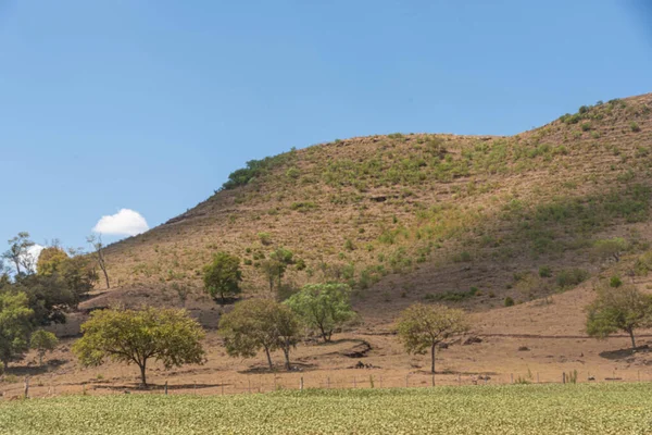Güney Brezilya 'da kırsal pampa biyolojisi. Çevresel koruma alanı. Rio Grande do Sul RS Brezilya. Kırsal turizm. Tahıl üretim alanları.