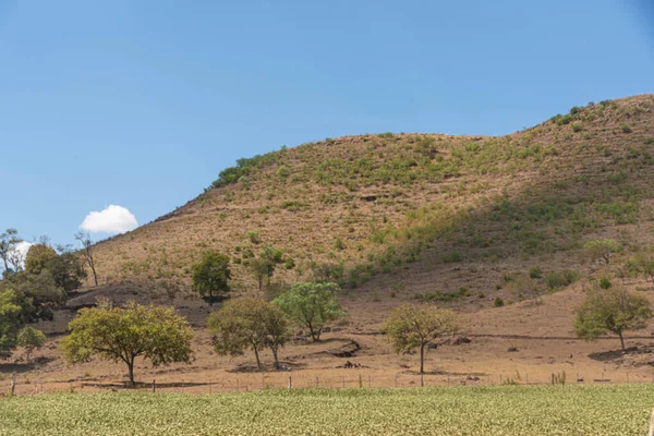 Güney Brezilya 'da kırsal pampa biyolojisi. Çevresel koruma alanı. Rio Grande do Sul RS Brezilya. Kırsal turizm. Tahıl üretim alanları.