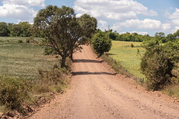 Landelijk Landschap Pampa Biome Het Zuiden Van Brazilië Gebied Van Stockfoto