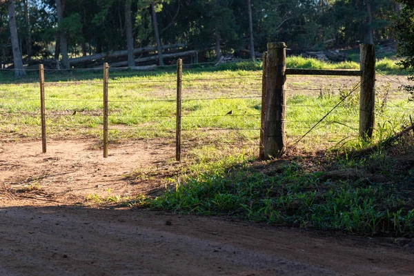 Kırsal ve kentsel olmayan yerler. tarımsal üretim alanı. Brezilya 'nın iç kesimlerinde tarlalar. Huzur ve sakinlik. Doğa ve sükunet. Güney Amerika 'daki genel alanlar.