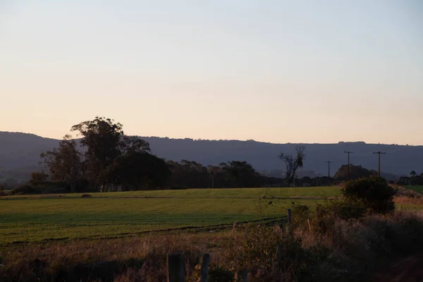 Landschaften Des Pampa Bioms Bei Sonnenuntergang Späten Nachmittag Auf Dem — Stockfoto