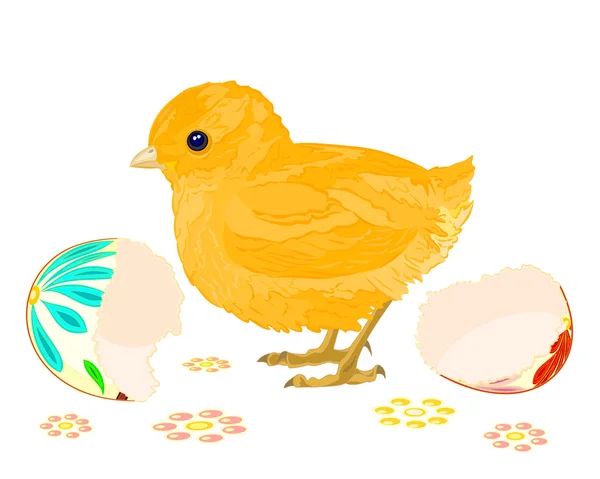 Великдень Chick — стоковий вектор