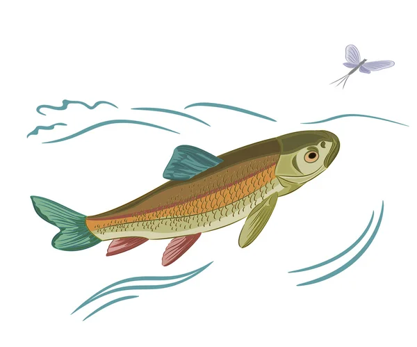 Pescado capturado ephemera — Vector de stock