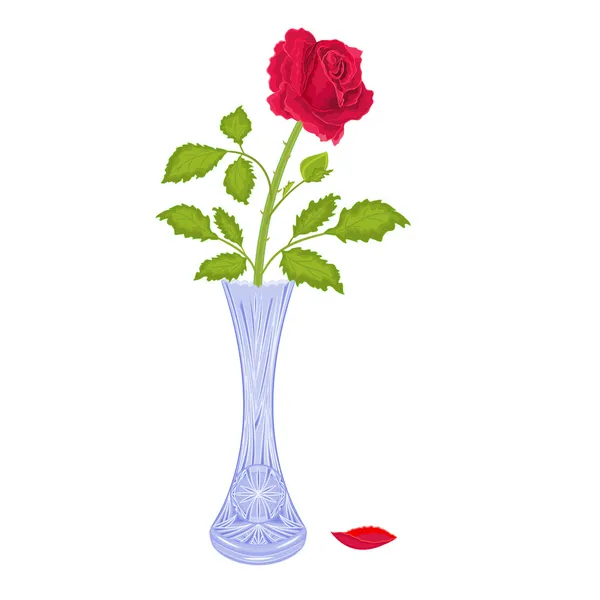 Roses dans un vase — Image vectorielle