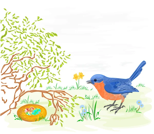 Wielkanoc ptak z żonkile i pisanki — Wektor stockowy