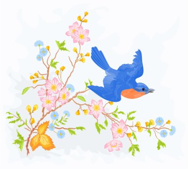 küçük kuş uçuş çiçek Bush