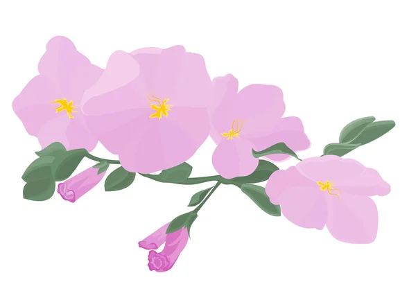 Tige d'orchidée avec des fleurs — Image vectorielle