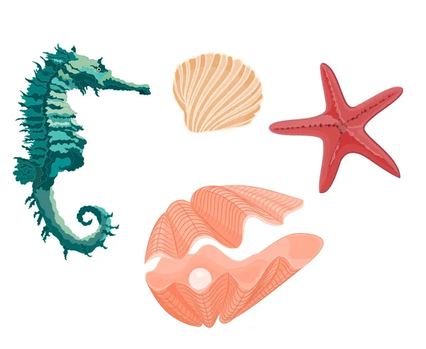 Koleksiyon deniz yaşamı seahorse starfish ve kabukları — Stok Vektör