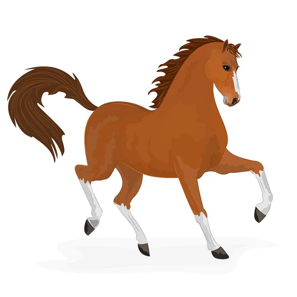 Correr a caballo — Vector de stock