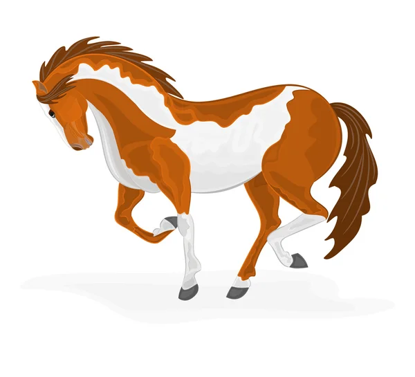 Piebald horse — Stock Vector