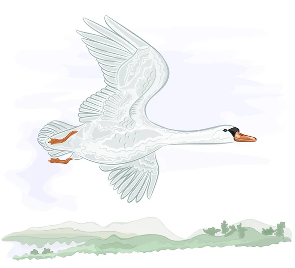 Flying high swan — Stock Vector