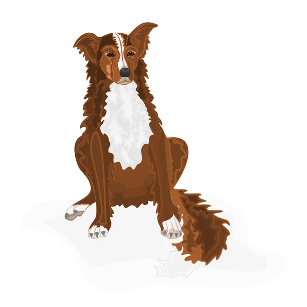 Pes sedící — Stockový vektor