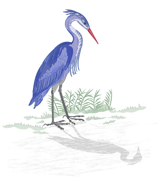 Göl vektör tarafından balıkçıl