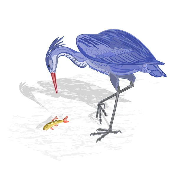Heron caça peixe vetor Ilustração —  Vetores de Stock