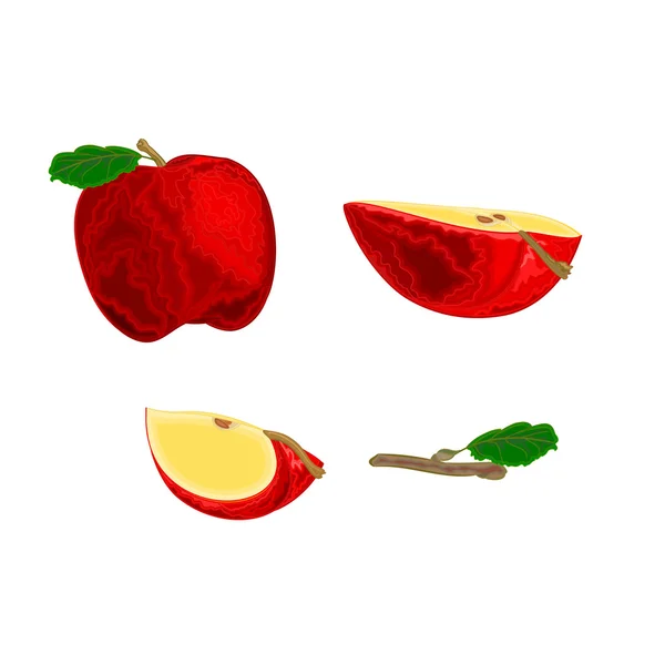 Rode appel vruchten gezonde levensstijl vector — Stockvector