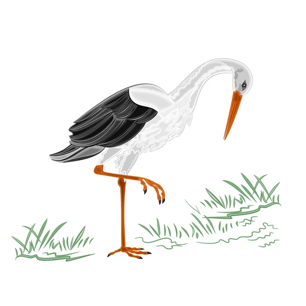 White Stork vector — Stock Vector