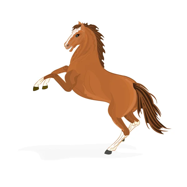 匹棕色的马矢量 — Stock vektor