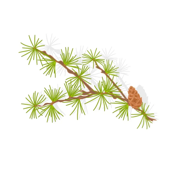 Melez çamı şube vektör çizim