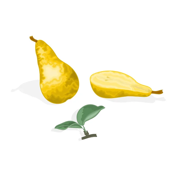 梨と梨の葉ベクターの半分 — ストックベクタ