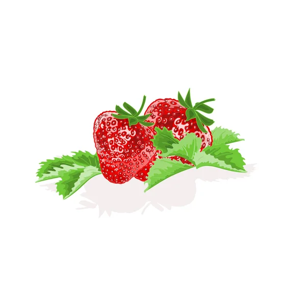 草莓叶子矢量 — 图库矢量图片