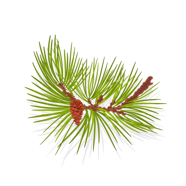 Rama montaña pino vector ilustración — Vector de stock