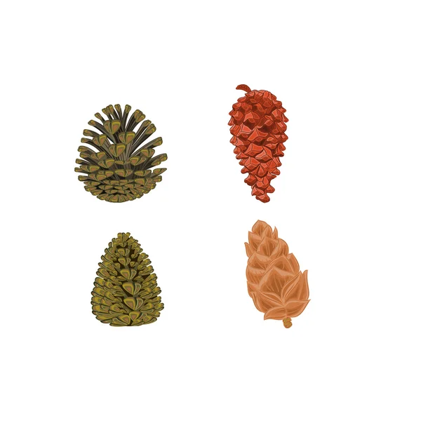 Quatro cones de pinheiro vector — Vetor de Stock