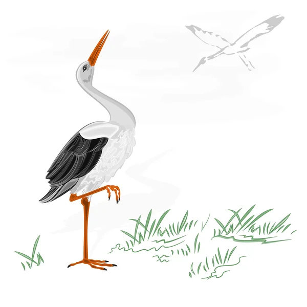 Storks vector — Stock Vector