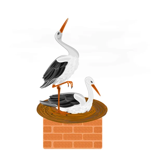 Storks and nest on a chimney vector — Stock Vector