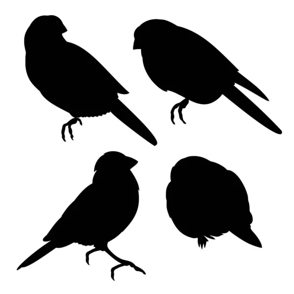 Mavi Kuşlar Küçük Ardıç Kuşu Silueti Beyaz Zemin Üzerinde Dört — Stok Vektör