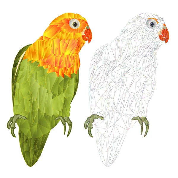 Parrot Lovebird Agapornis Tropical Bird Polygons Outline White Background Vector — Stockvektor