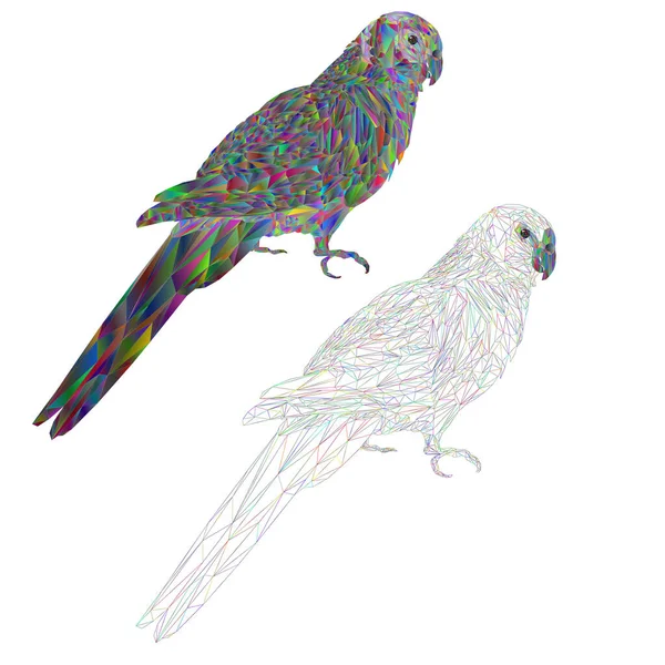 Tropical Bird Parrot Sun Conure Polygonal Multicolored Outline White Background — Stockový vektor