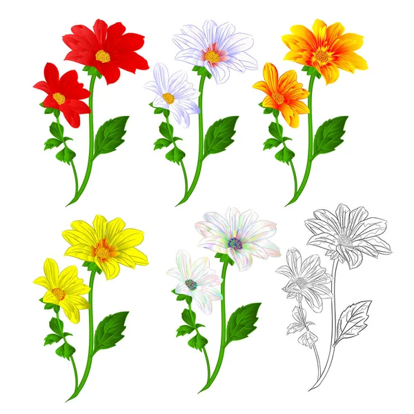 ダーリアレッドホワイトオレンジイエローアウトライン夏の花は グラフィック要素と白の背景ベクトルイラストベクトルイラスト編集可能な手描きで装飾として春の季節のための様々な色を茎 — ストックベクタ