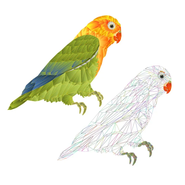 Parrot Agapornis Lovebird Tropical Bird Polygons Outline White Background Vector — Stockvektor