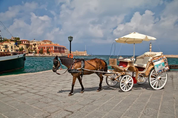 Het paard op de zee-voorzijde van chania. Griekenland. Kreta — Stockfoto