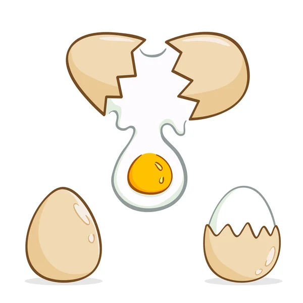 Gruppe von Eiern in verschiedenen Stadien — Stockvektor