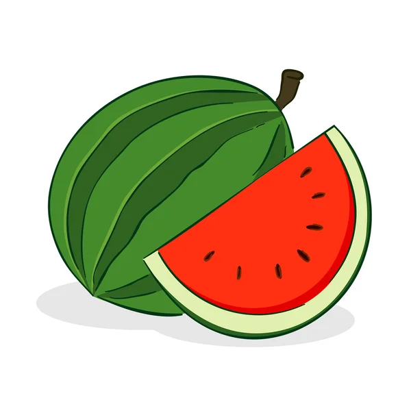 Watermeloen fruit illustratie — Stockvector