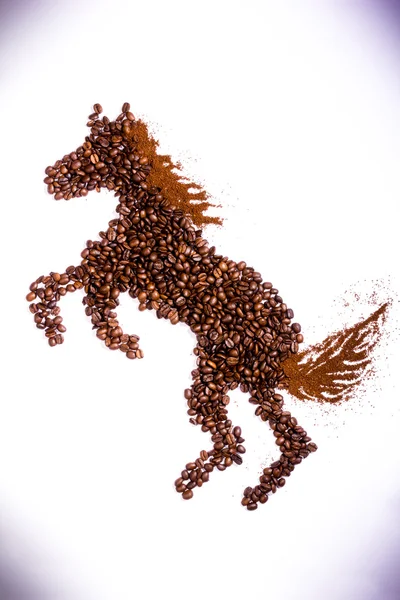 Former av kaffe frön — Stockfoto