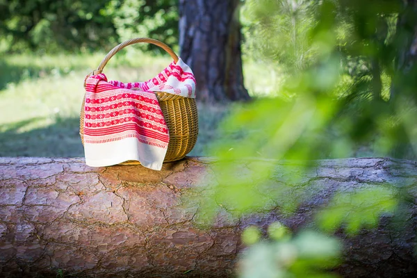 Korg för picknick — Stockfoto