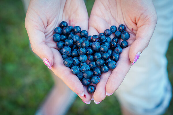 Blueberries in hands