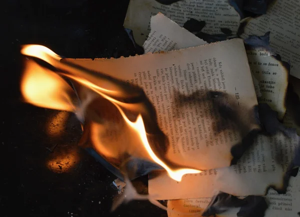 Спалювання книги — стокове фото