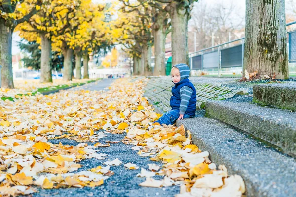 Retrato de outono de um menino bonito da criança — Fotografia de Stock