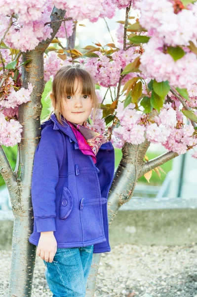 Bela menina pré-escolar em pé ao lado de florescer japonês Cherry — Fotografia de Stock