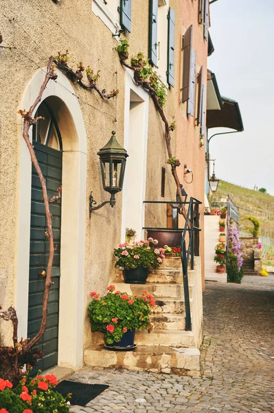 Malá Útulná Ulice Obci Lavaux Vaud Švýcarsko — Stock fotografie