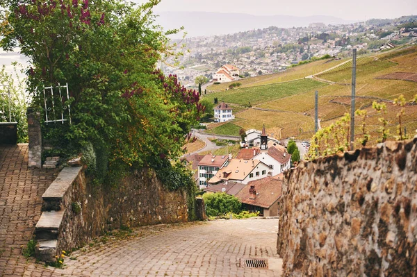 Przejście Przez Małą Wioskę Winnicach Lavaux Turystyka Wiosenna Szwajcarii — Zdjęcie stockowe