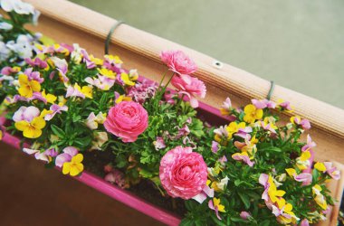 Balkon çitlerinde asılı kutularda büyüyen renkli çiçekler.