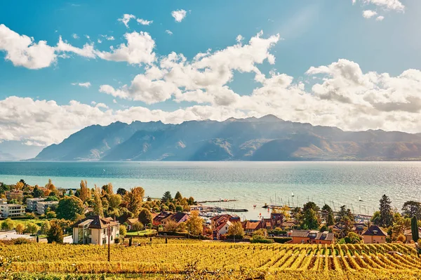Wunderschöne Landschaft Der Lavaux Weinberge Und Des Genfer Sees Pully — Stockfoto
