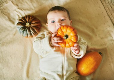Güzel bebek battaniyeye uzanıp, küçük balkabağıyla oynuyor.