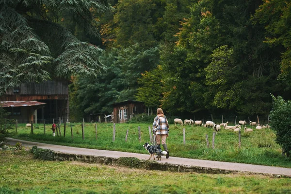 Paisaje Granja Vista Trasera Joven Mujer Caminando Con Perro Pastor — Foto de Stock