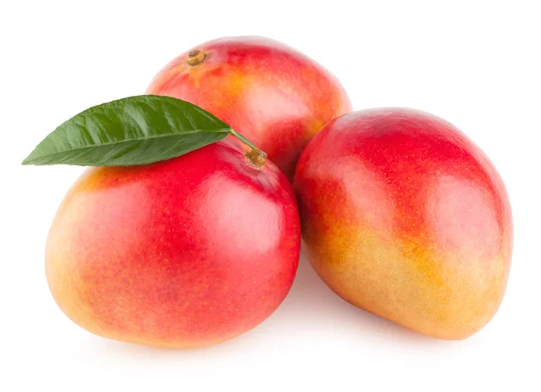 Mango vruchten — Stockfoto